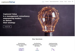 thumbnail of the Captured Value website